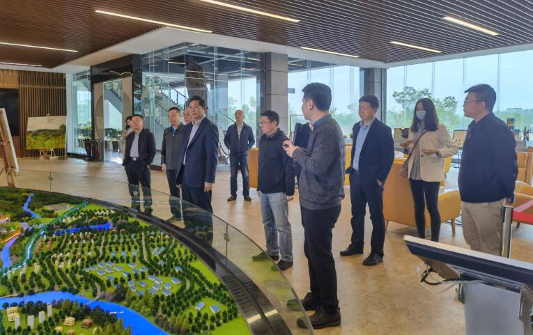 广西旅发集团党委书记、董事长容贤标考察集团文旅项目