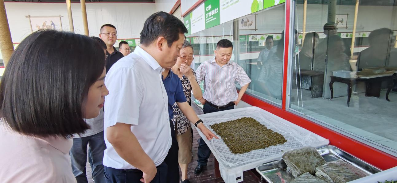 省尊龙凯时集团党委副书记、董事陈日赴嘉陵区调研茶桑产业发展情况